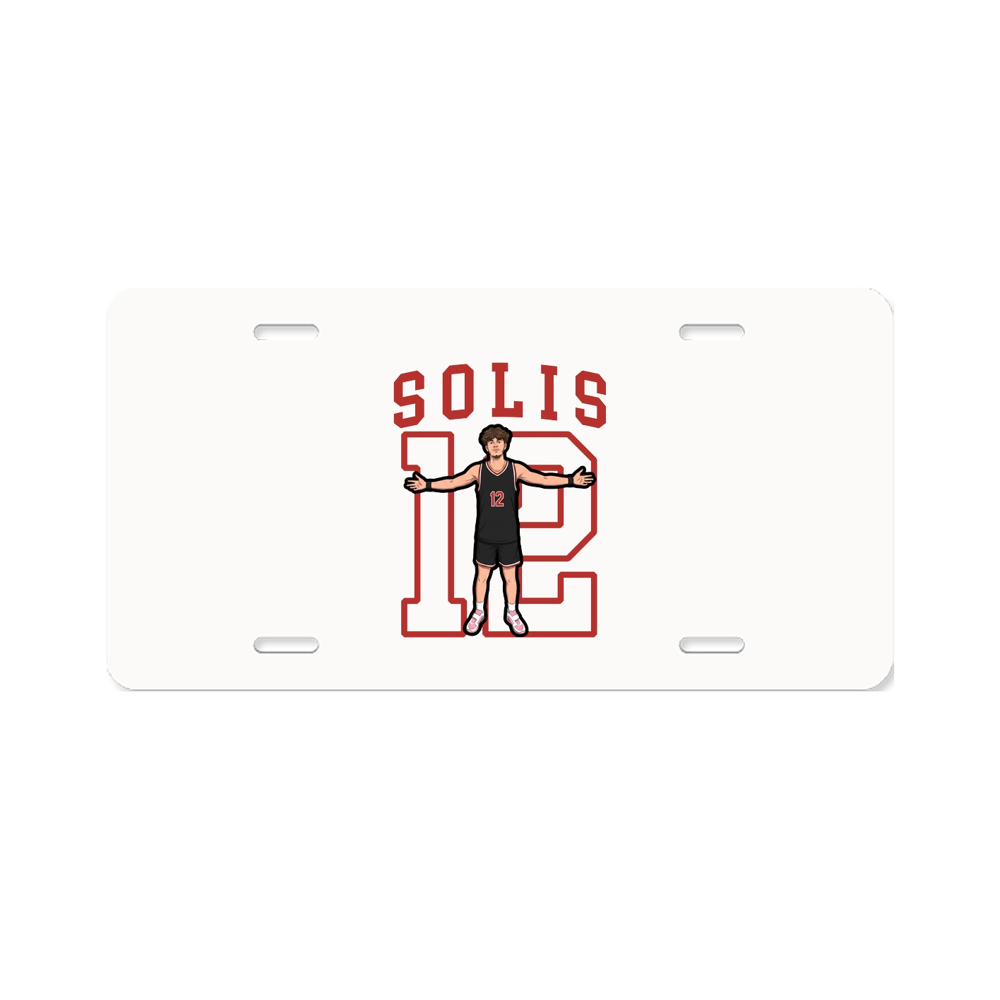 Aluminum License Plate
