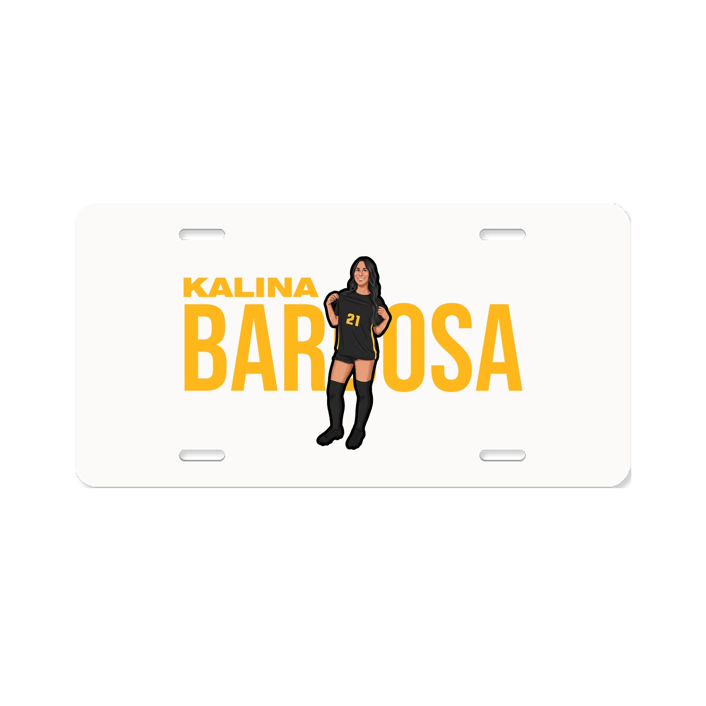 License Plate
