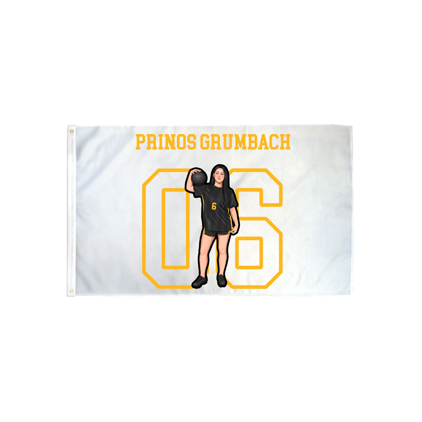 3x5 Flag — Shirsey in Classic