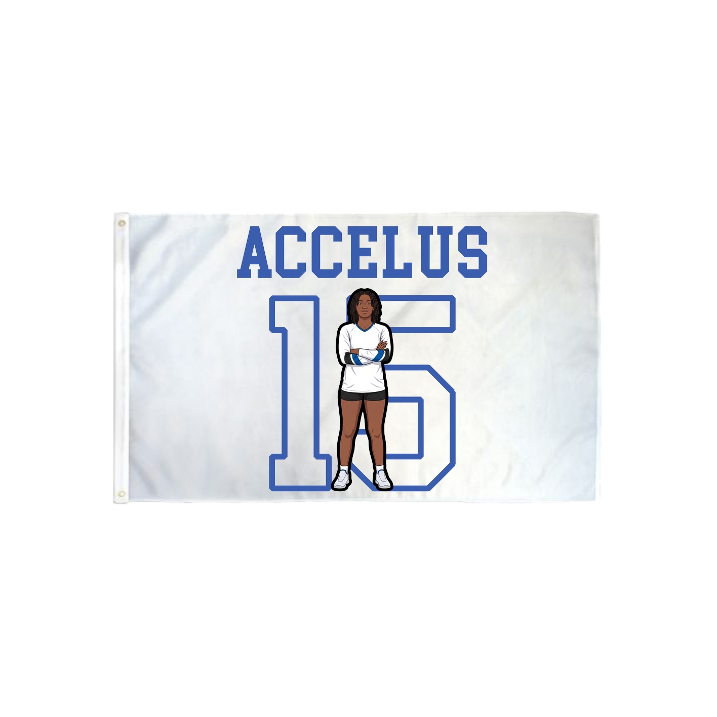 3x5 Flag — Shirsey in Classic