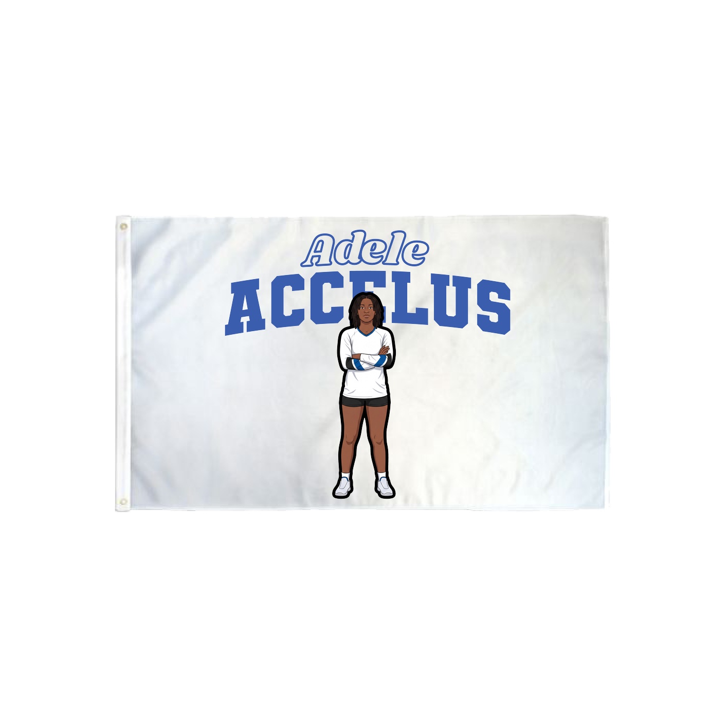 3x5 Flag — Name Arch in Classic