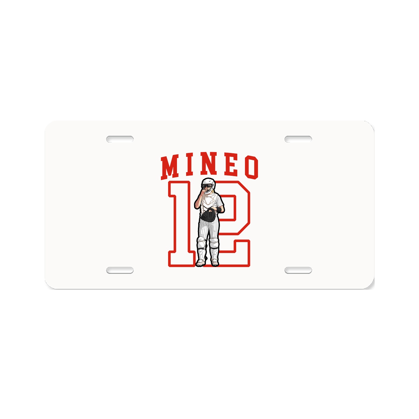 Aluminum License Plate