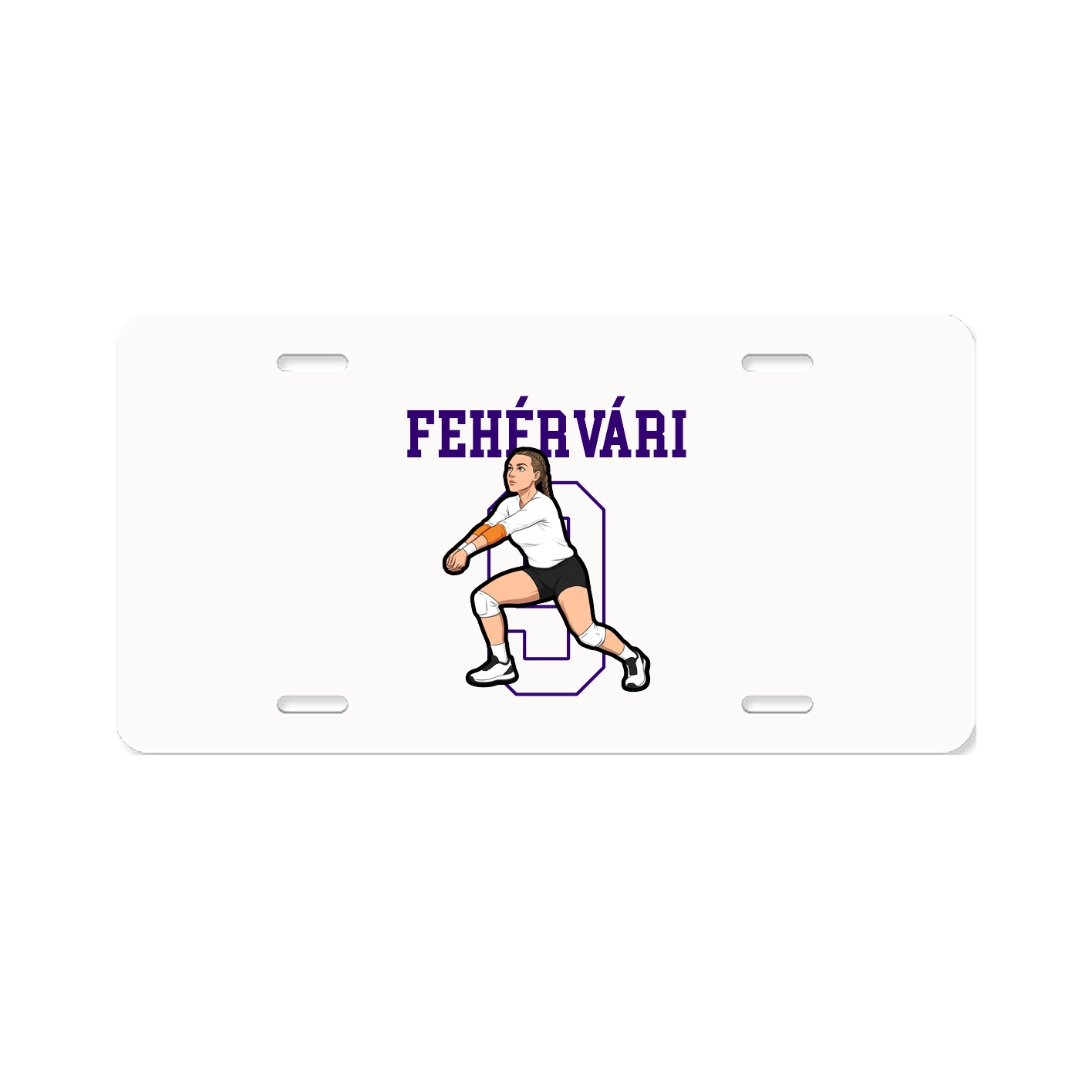Aluminum License Plate