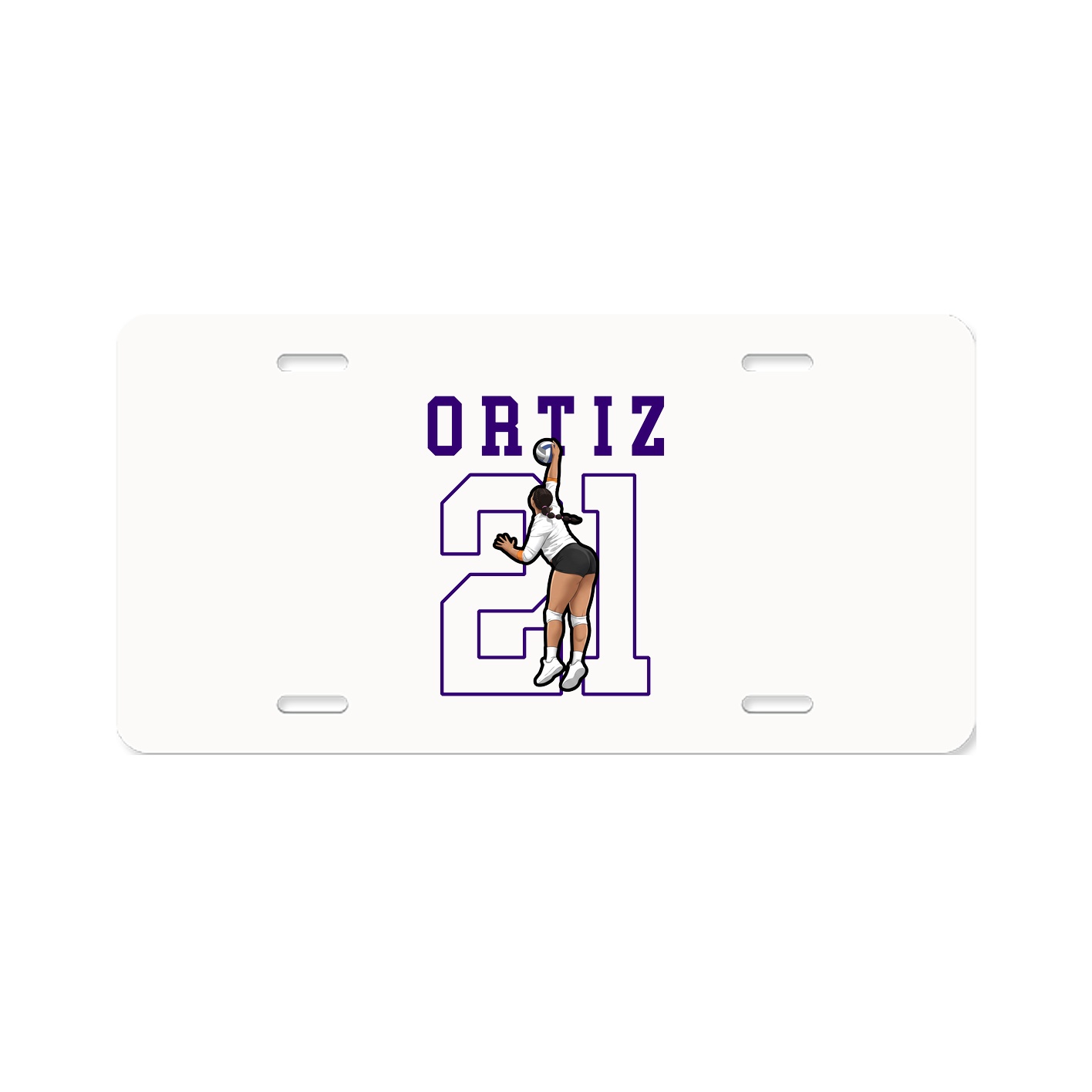Aluminum License Plate