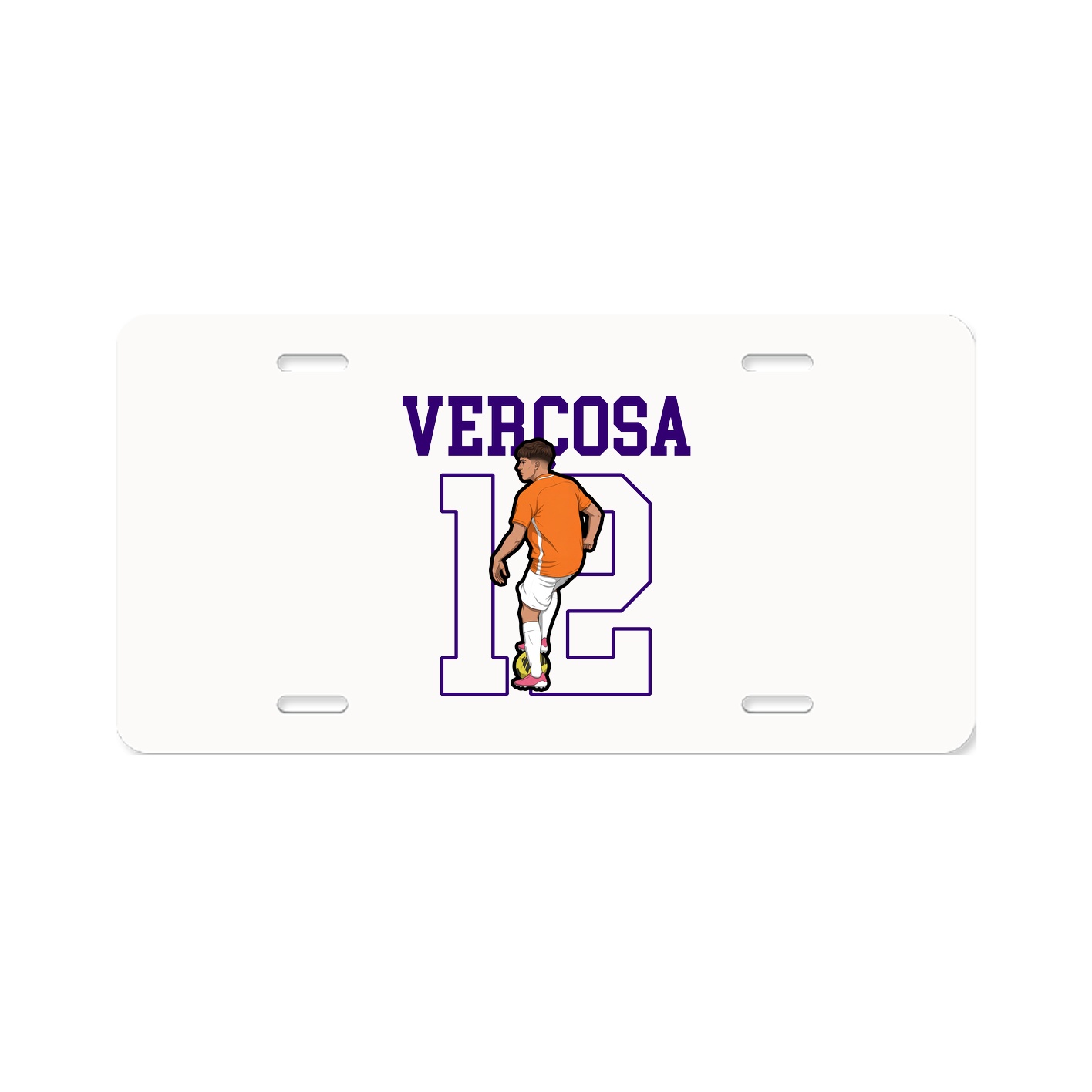 Aluminum License Plate
