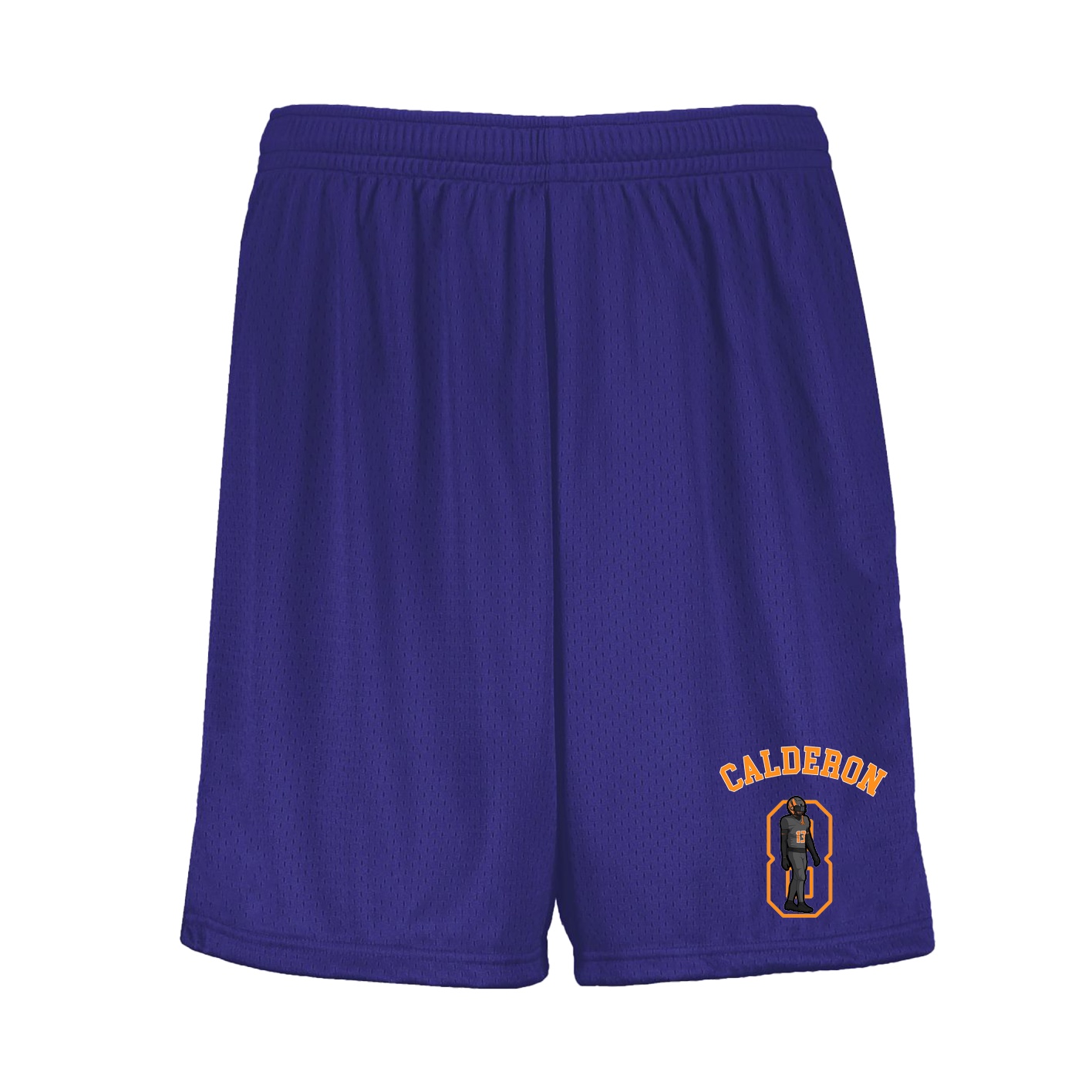 Shorts — Shirsey Arch in Purple