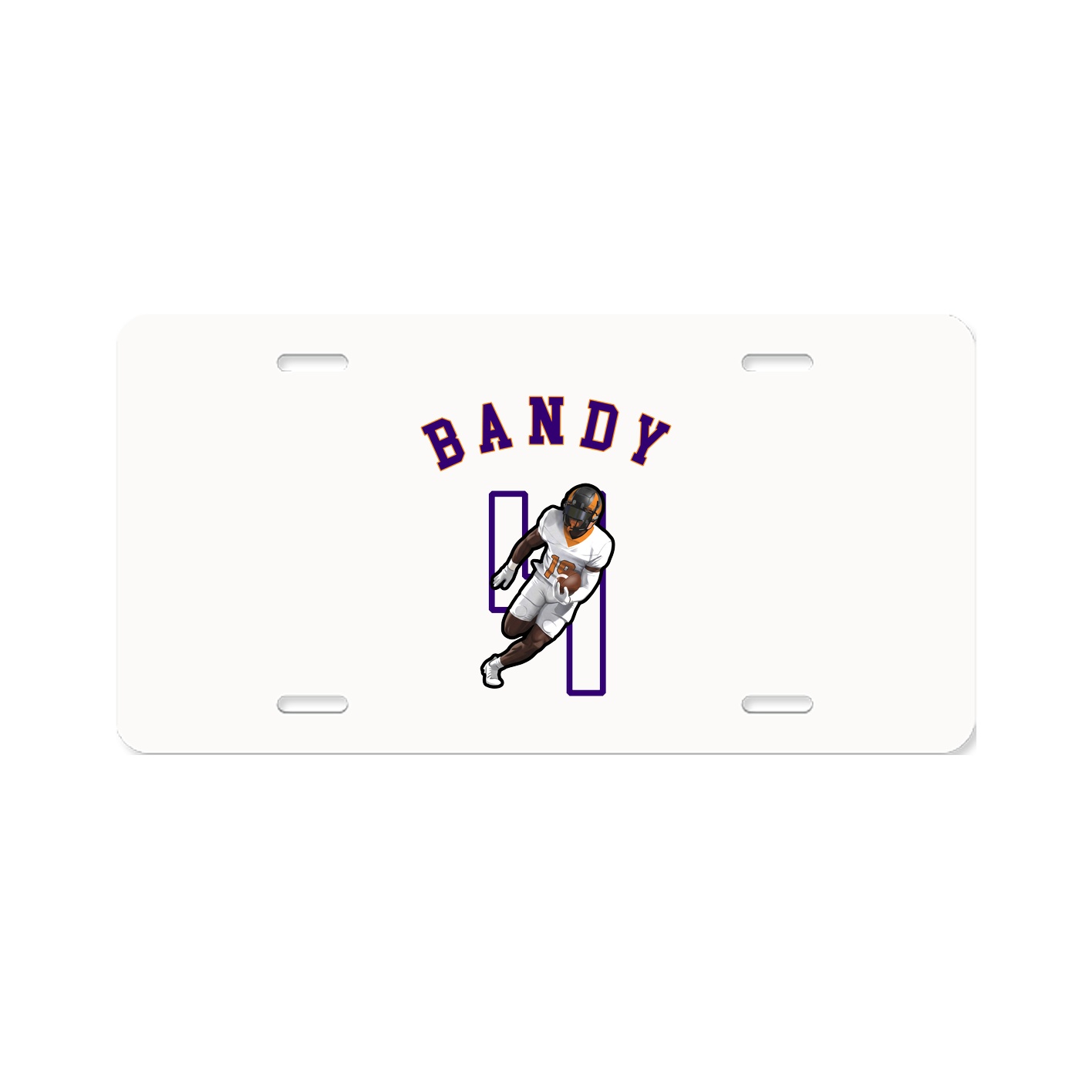 Aluminum License Plate