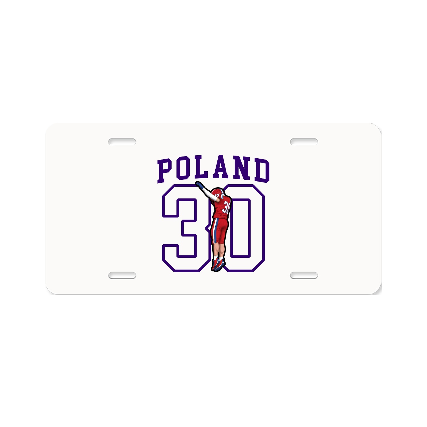 Aluminum License Plate