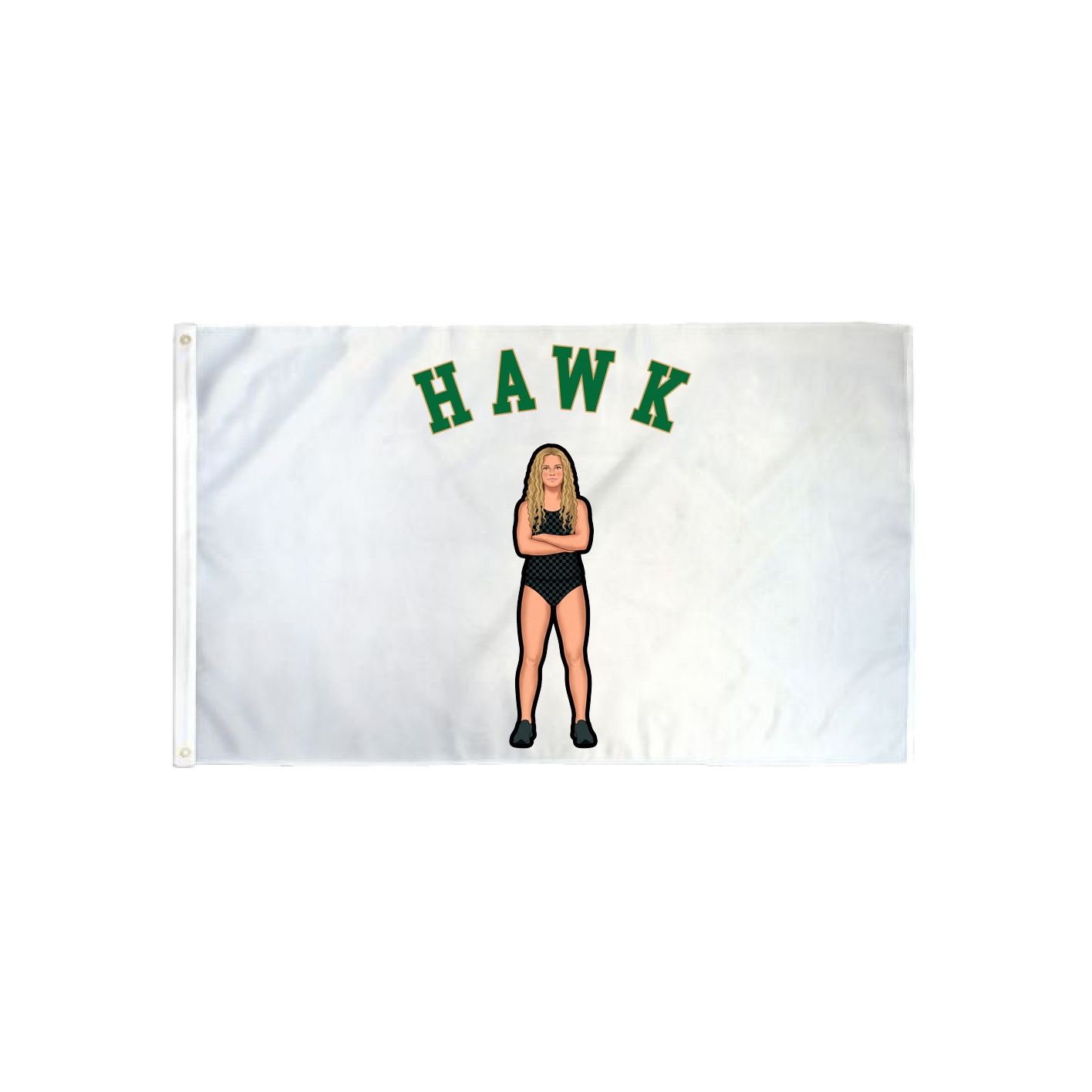 3x5 Flag — Shirsey Arch in Classic