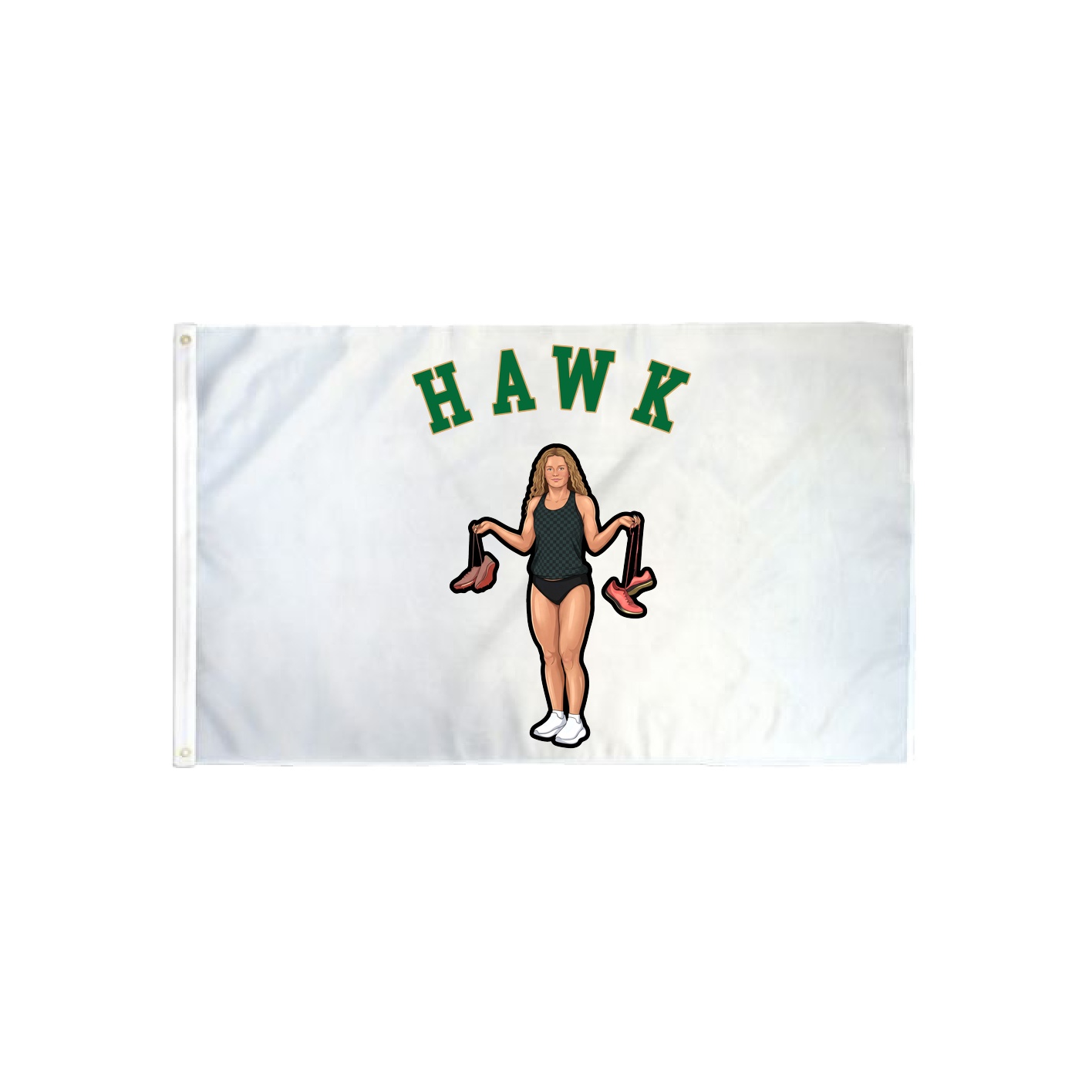 3x5 Flag — Shirsey Arch in Classic