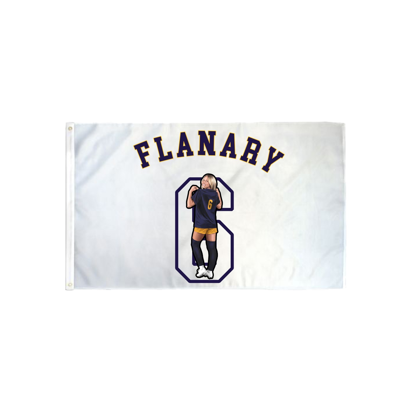 3x5 Flag — Shirsey Arch in Classic