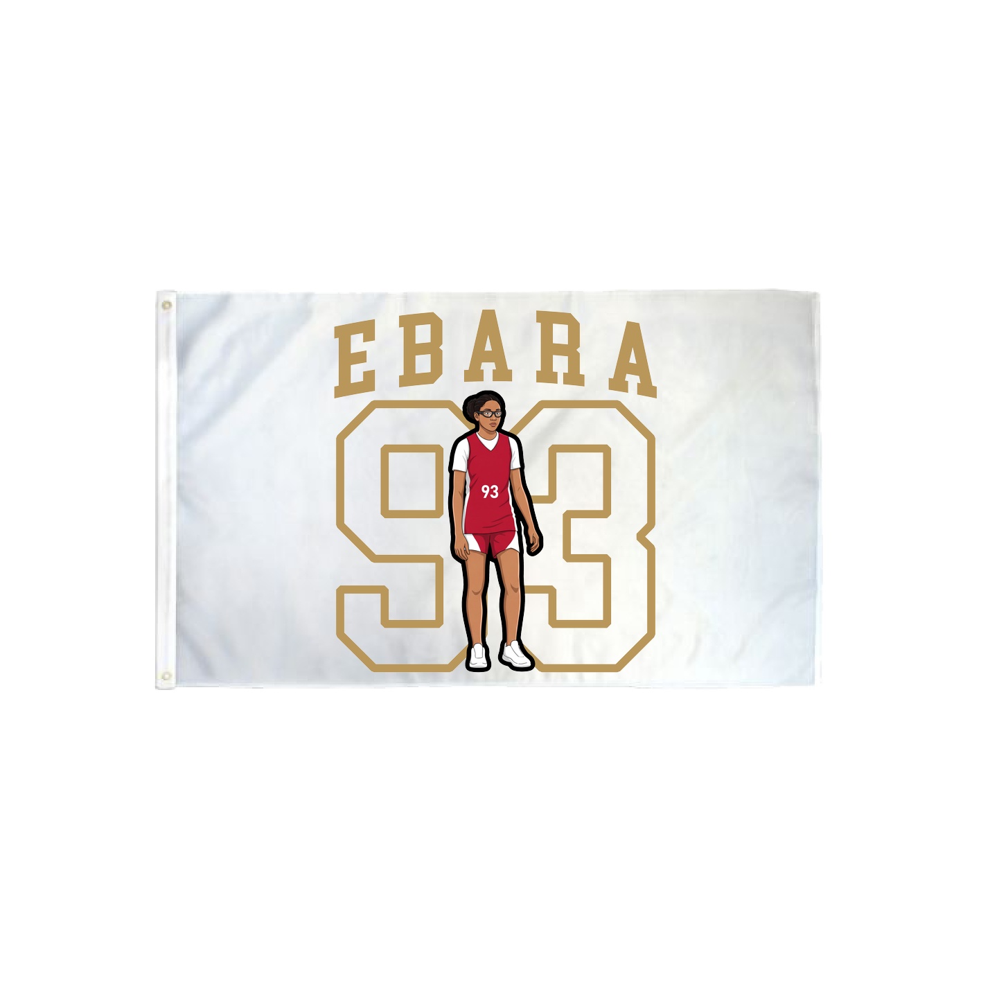 3x5 Flag — Shirsey in Classic