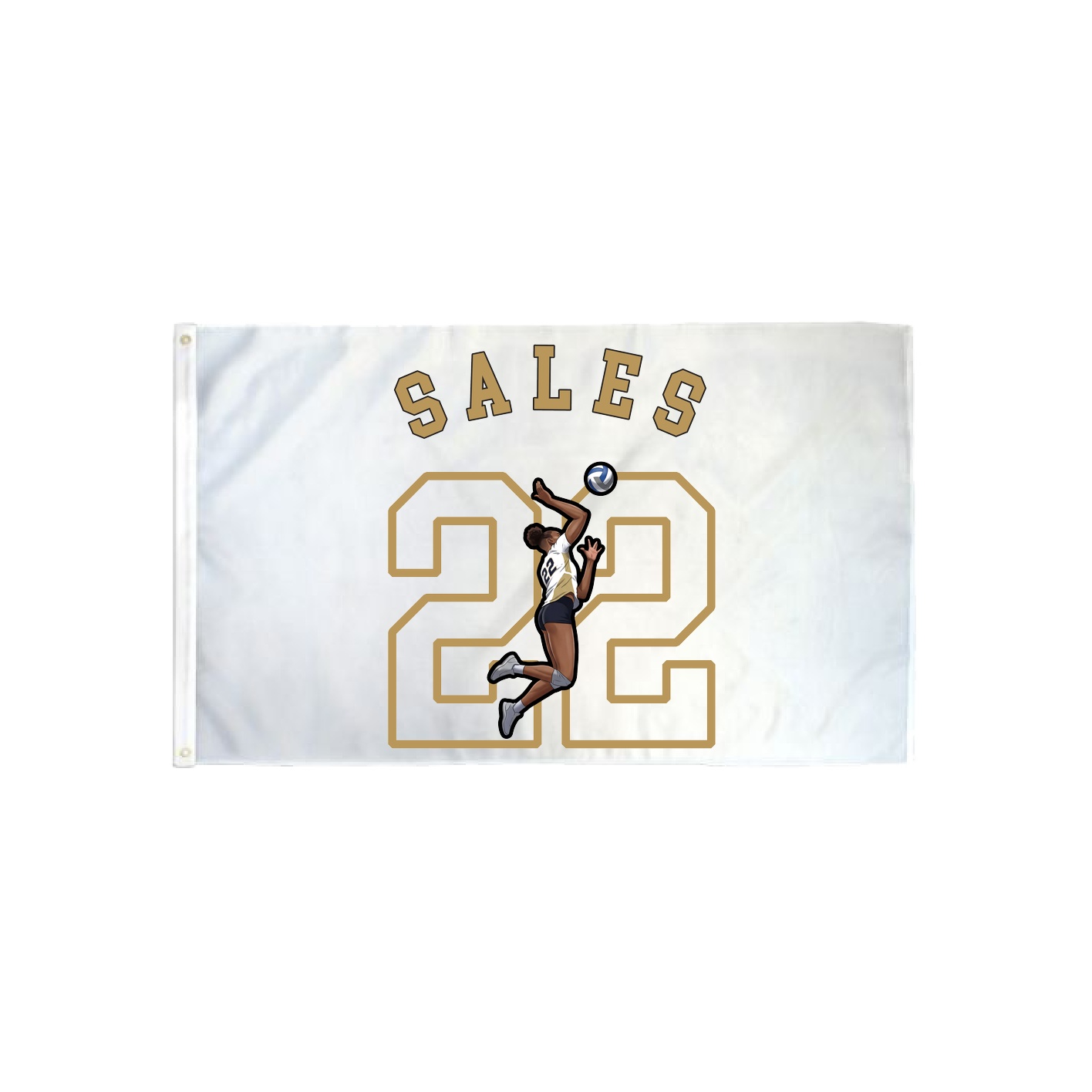 3x5 Flag — Shirsey Arch in Classic