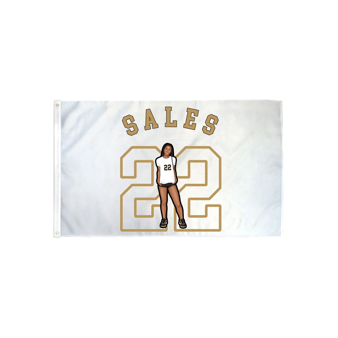 3x5 Flag — Shirsey Arch in Classic