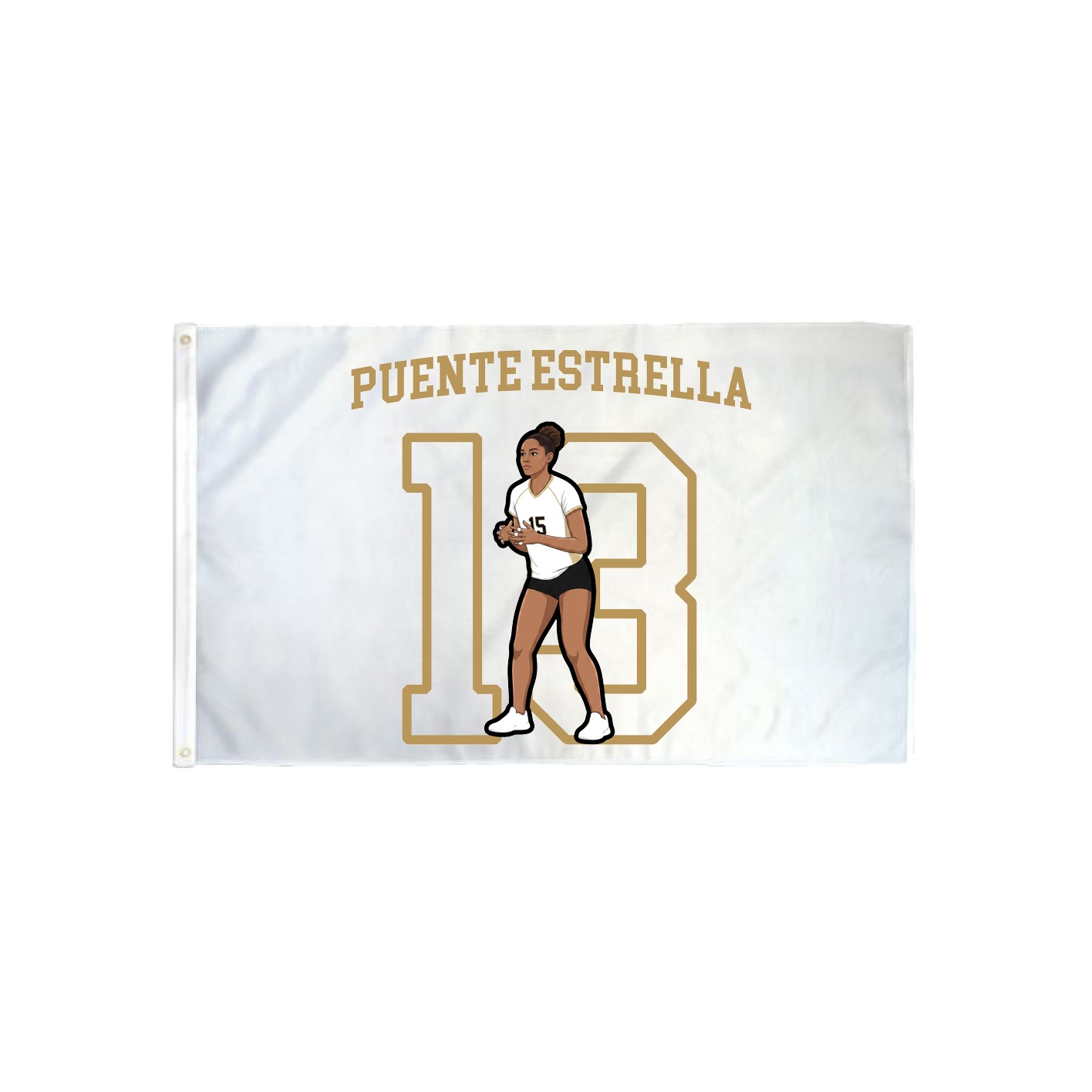 3x5 Flag — Shirsey in Classic