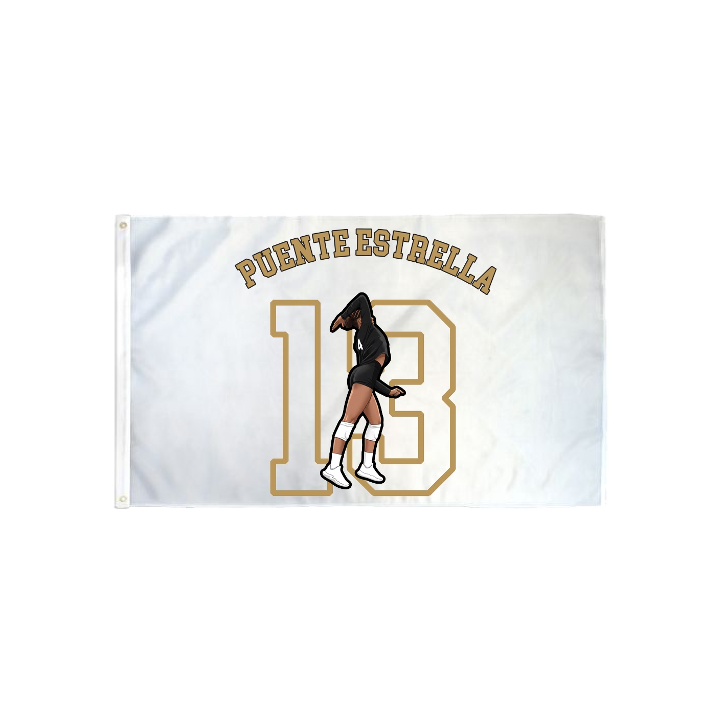 3x5 Flag — Shirsey Arch in Classic