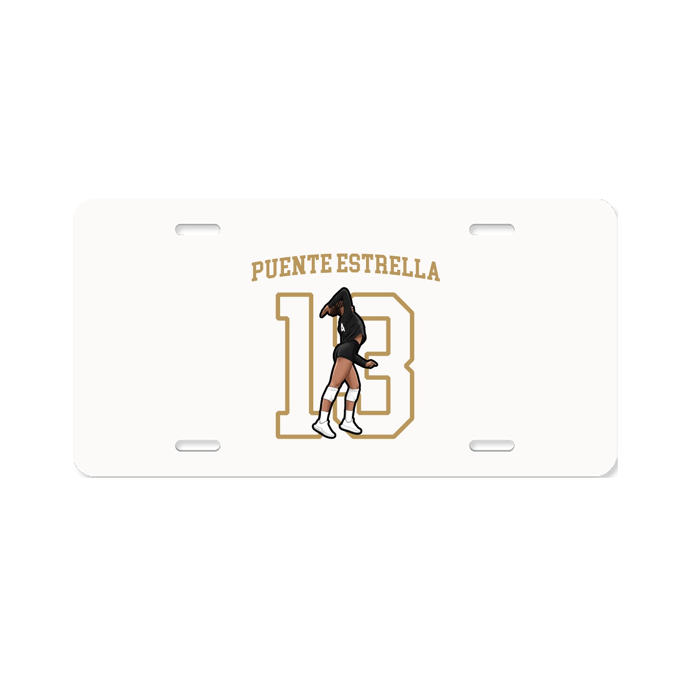 Aluminum License Plate