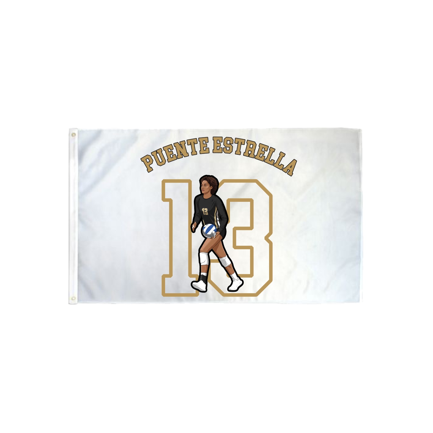 3x5 Flag — Shirsey Arch in Classic