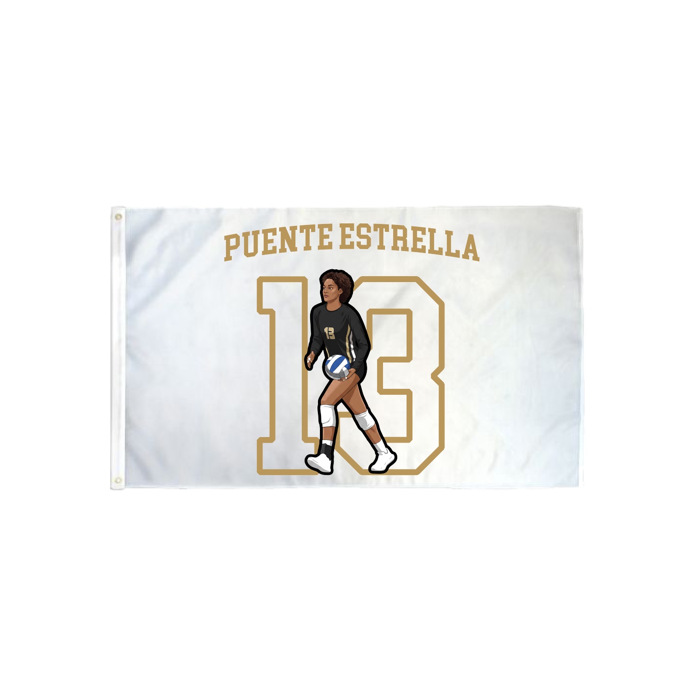 3x5 Flag — Shirsey in Classic
