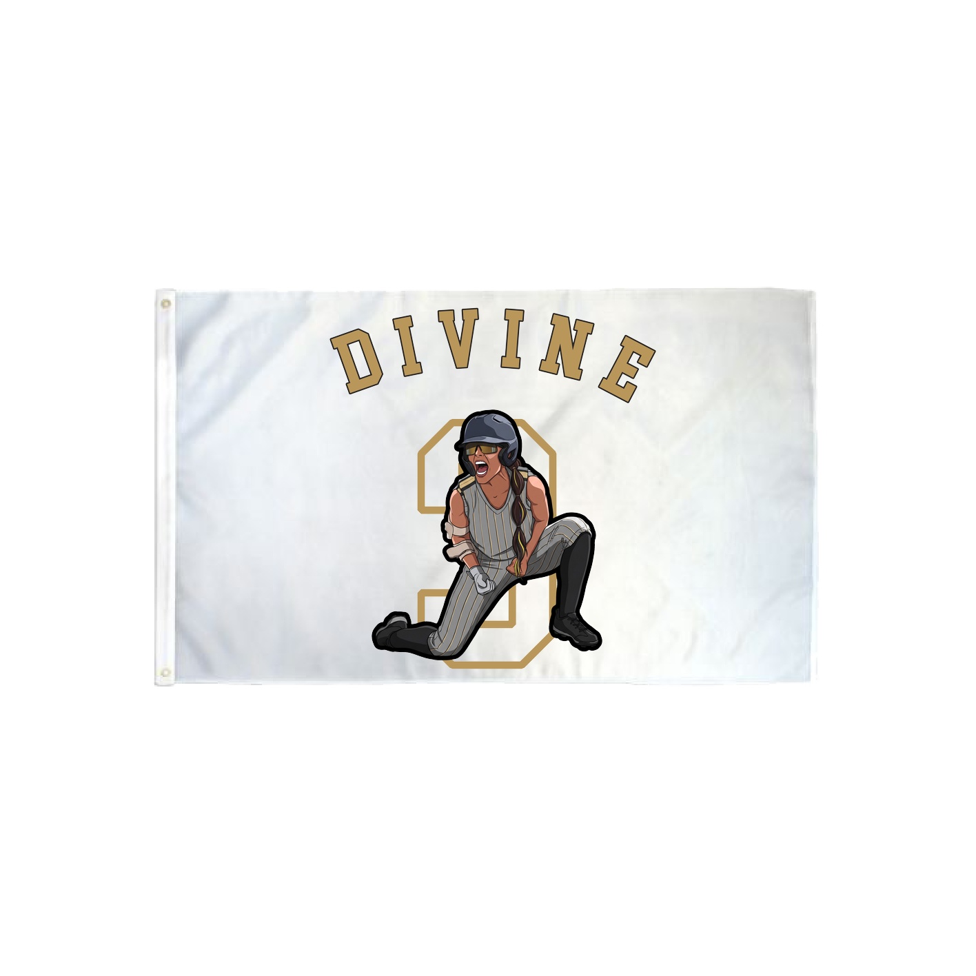 3x5 Flag — Shirsey Arch in Classic