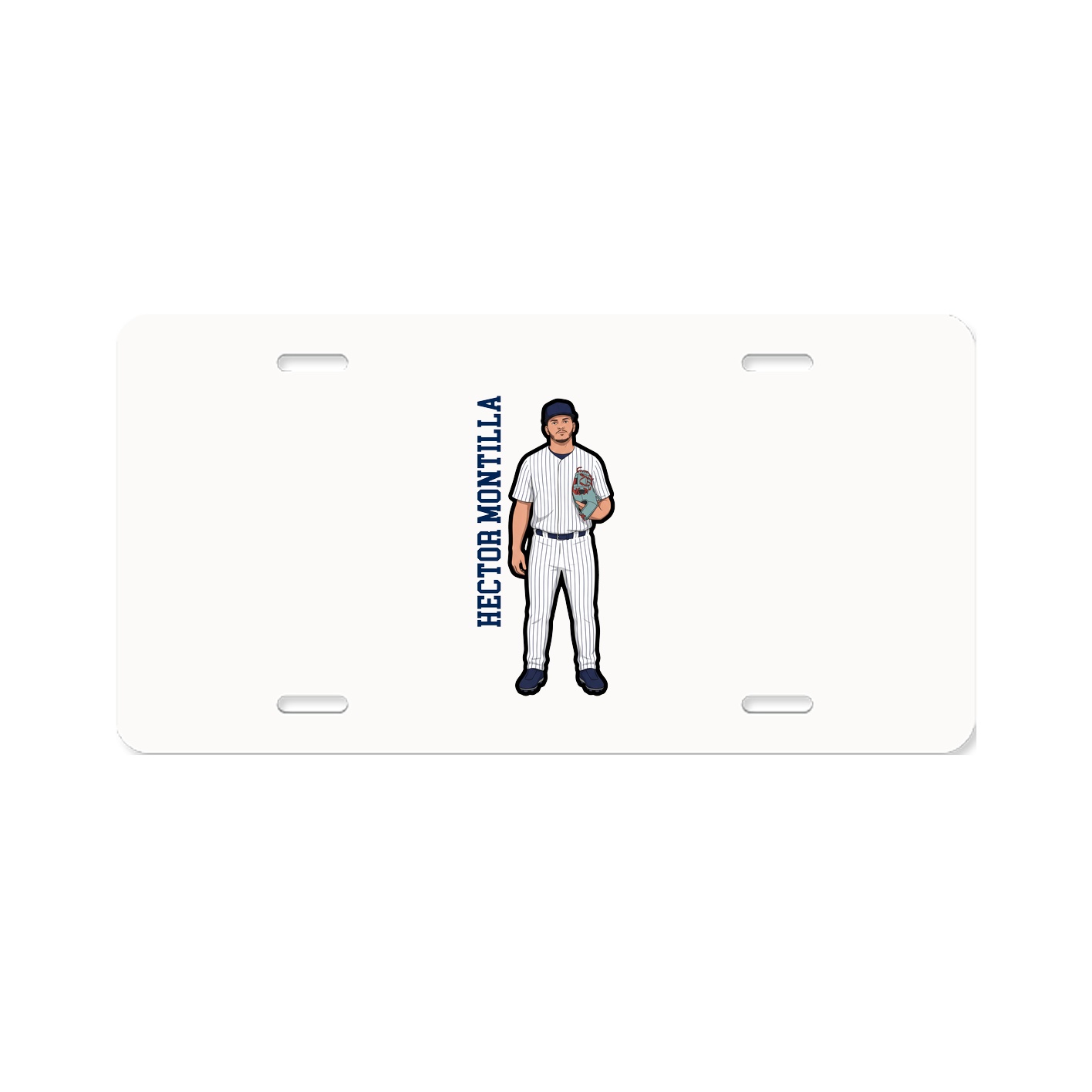 Aluminum License Plate
