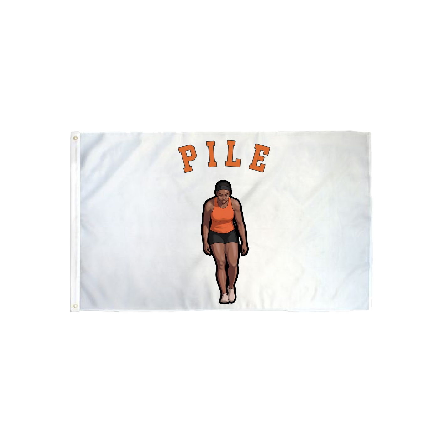 3x5 Flag — Shirsey Arch in Classic