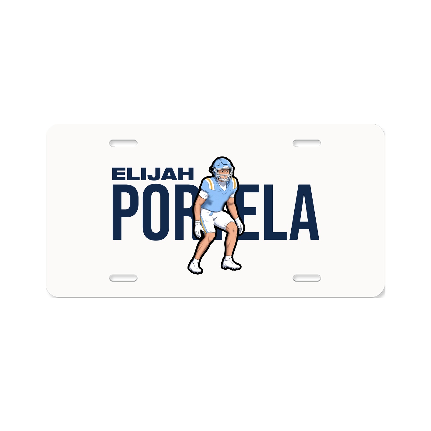 License Plate