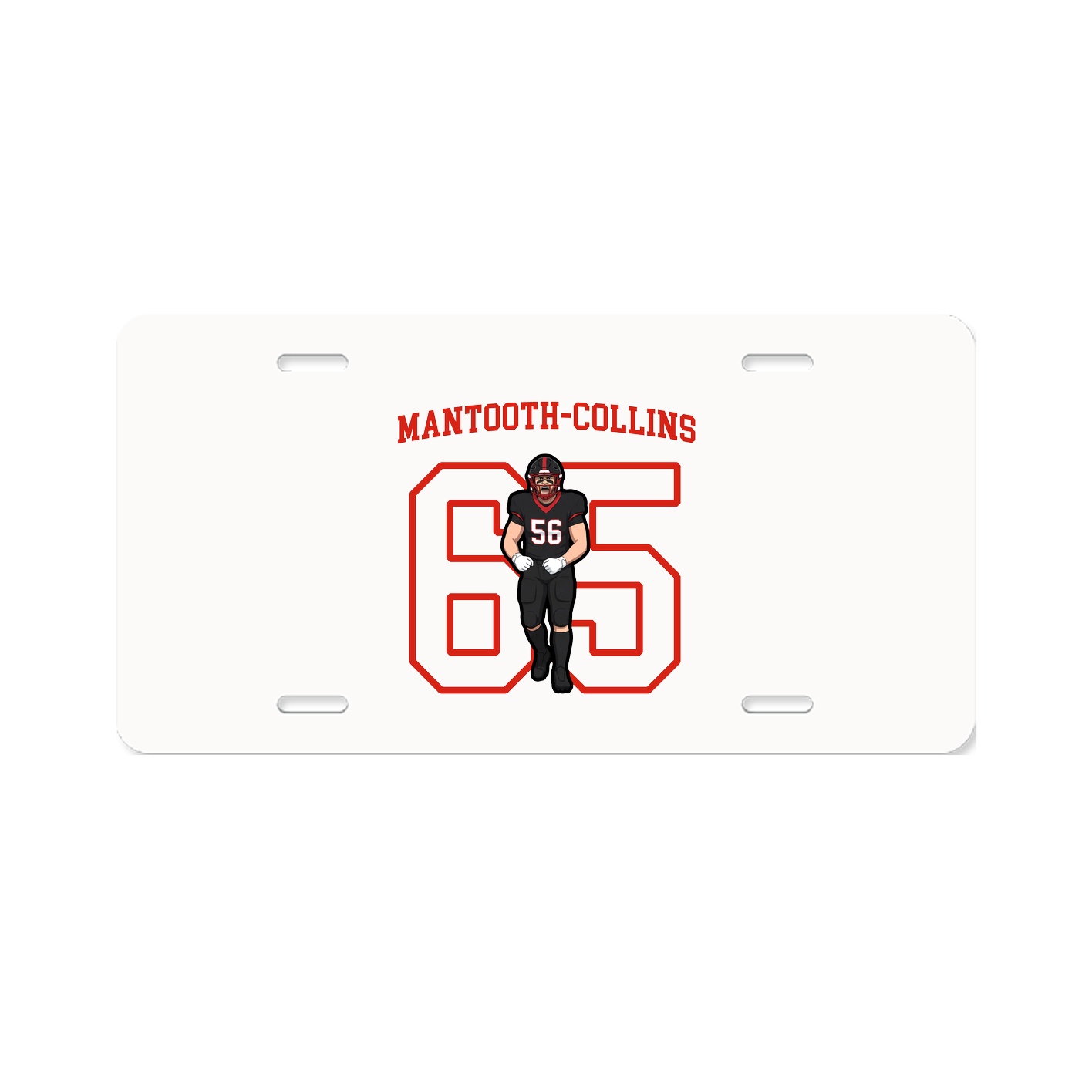 Aluminum License Plate