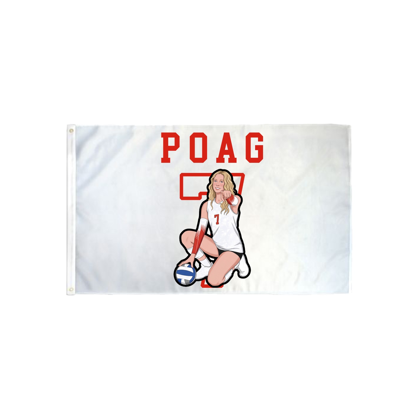 3x5 Flag — Shirsey in Classic