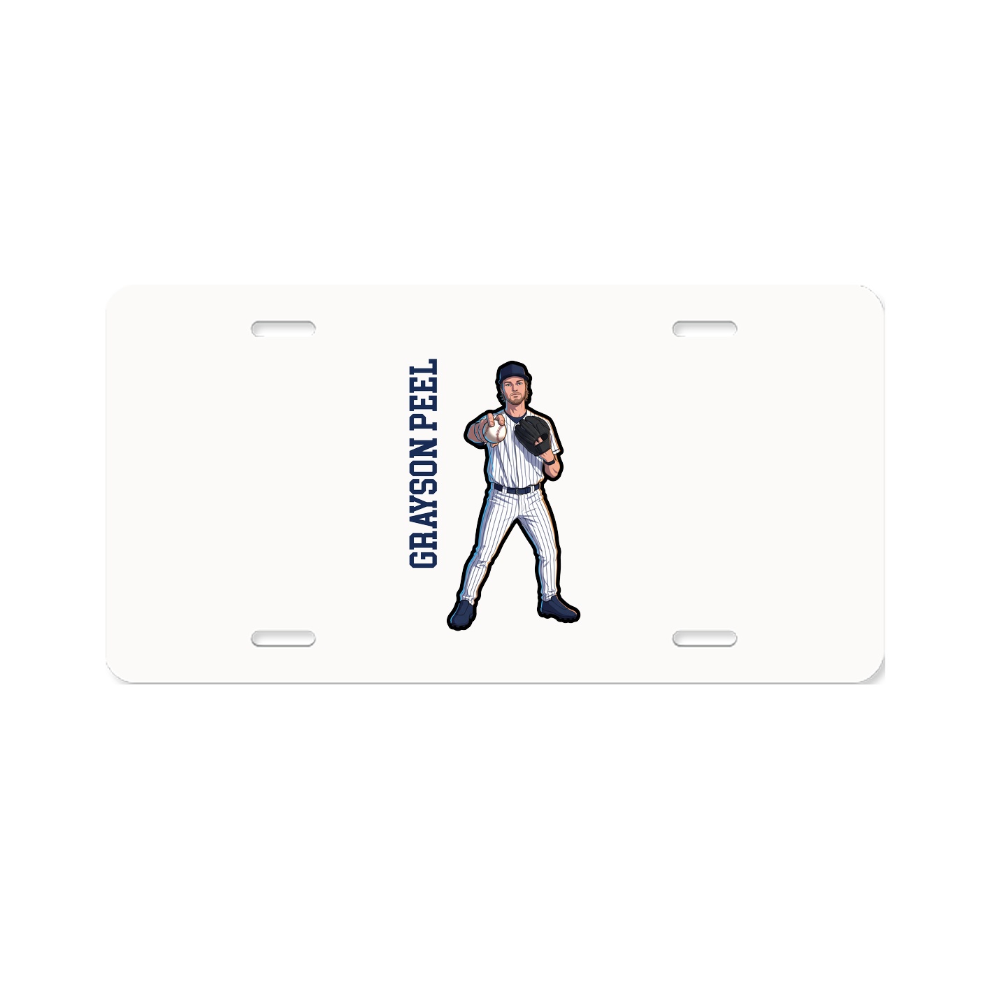 License Plate