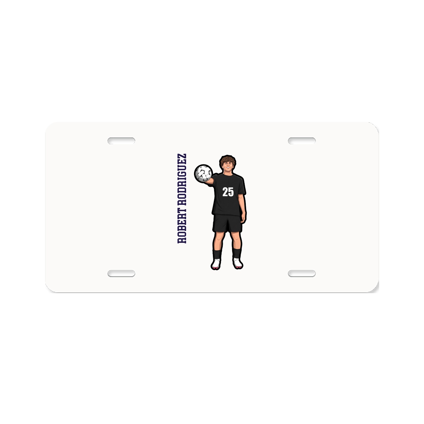 Aluminum License Plate