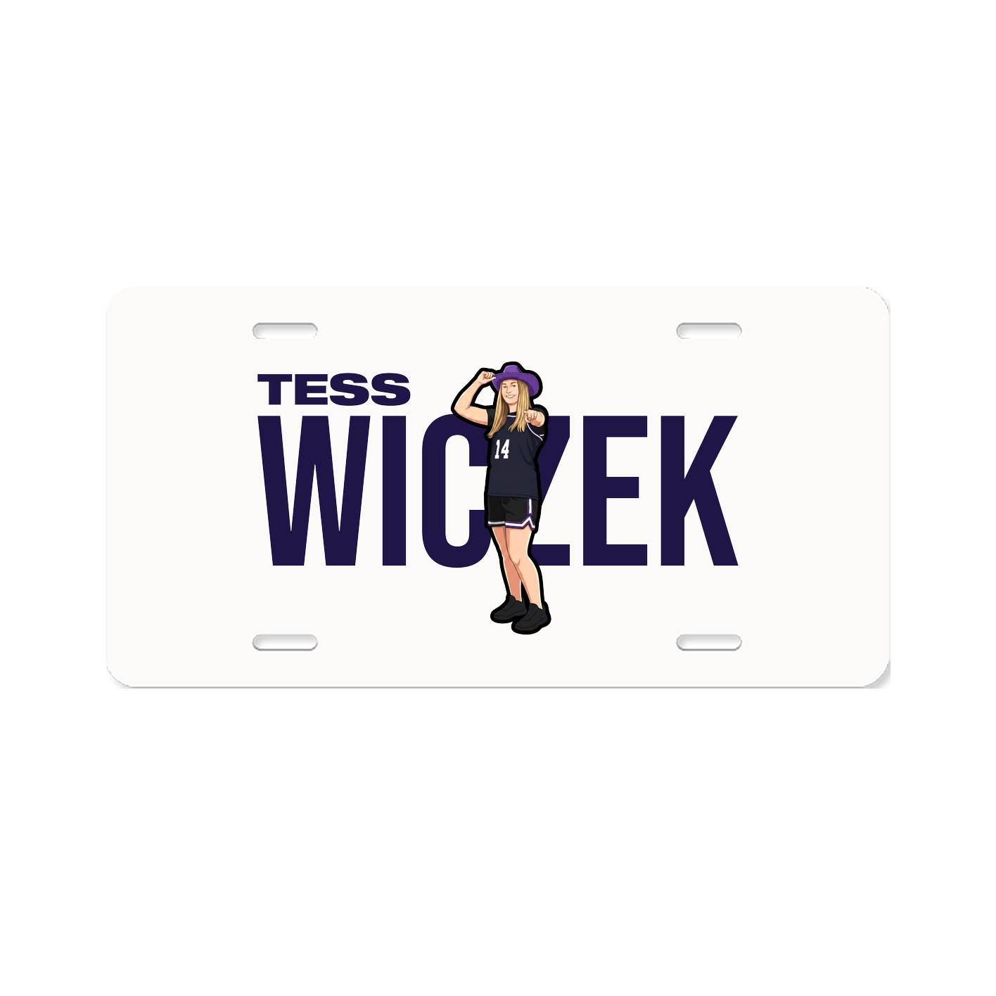 License Plate