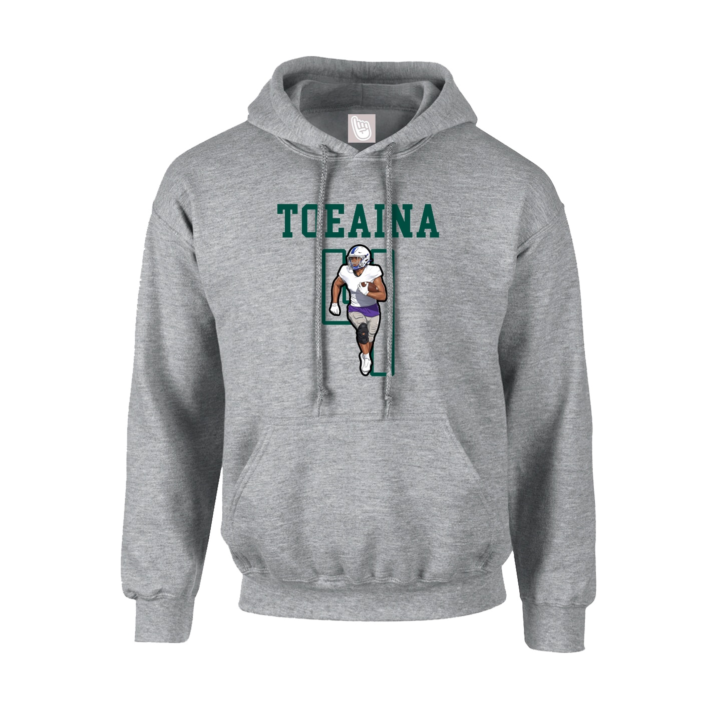 Hoodie — Shirsey in Grey