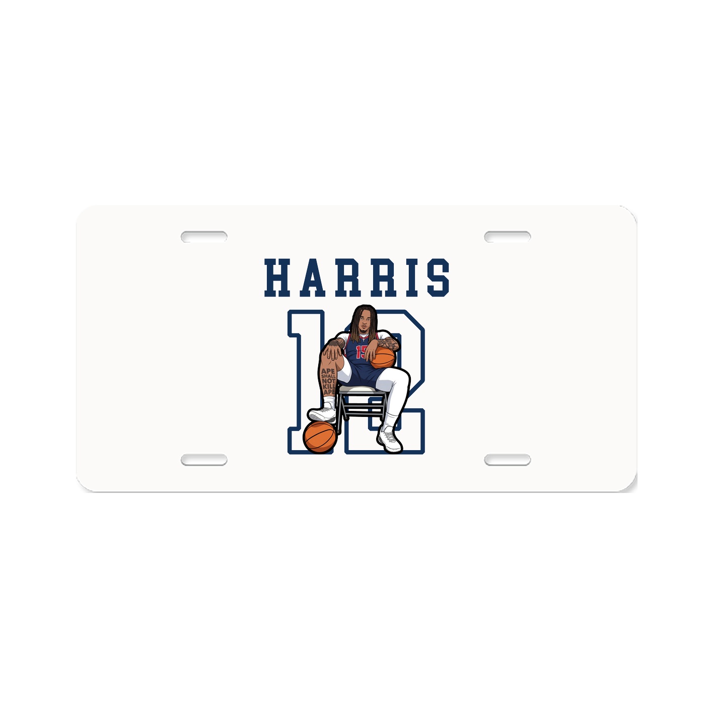 Aluminum License Plate