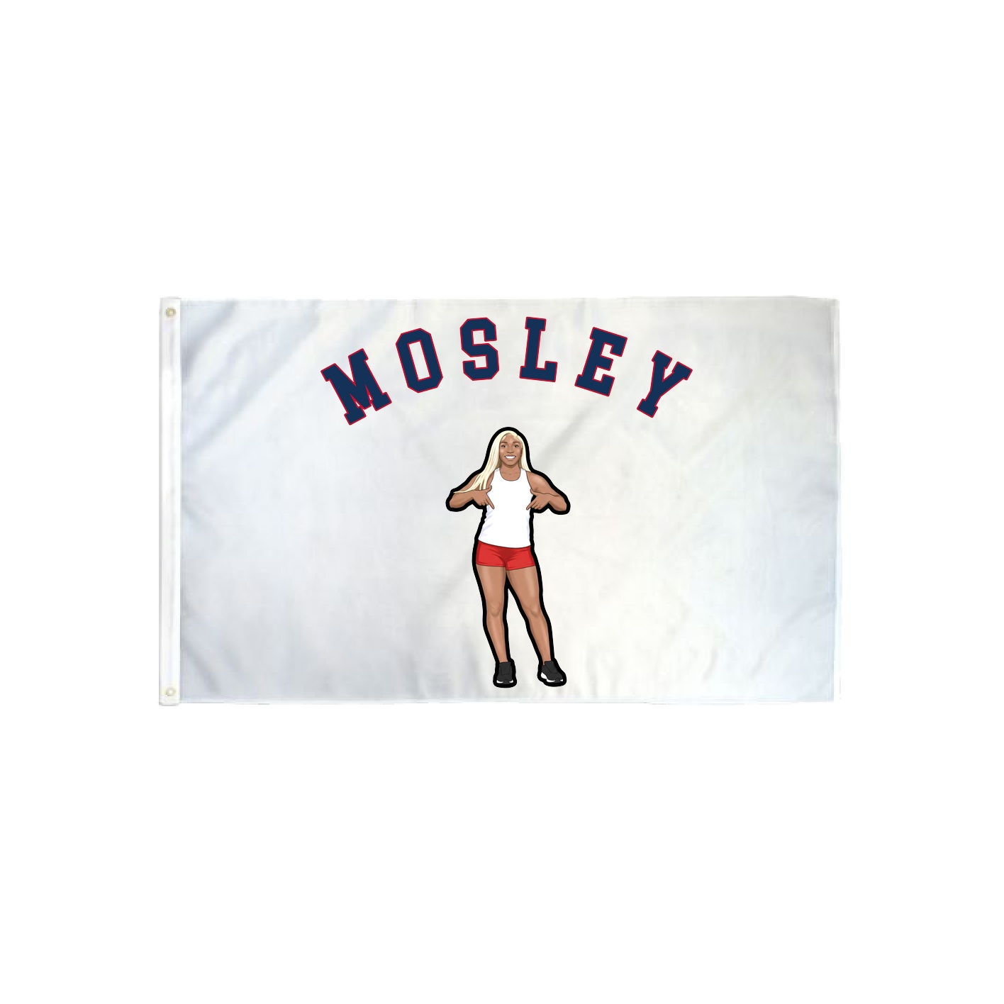 3x5 Flag — Shirsey Arch in Classic