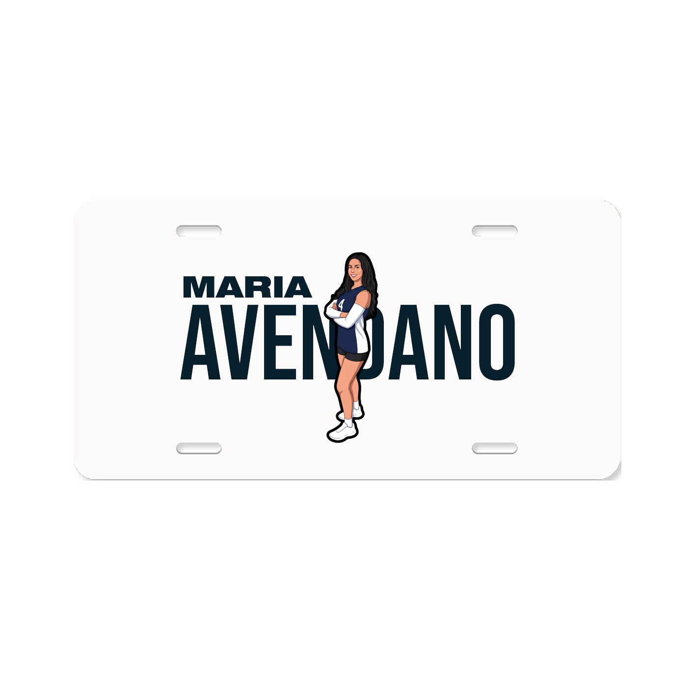 License Plate