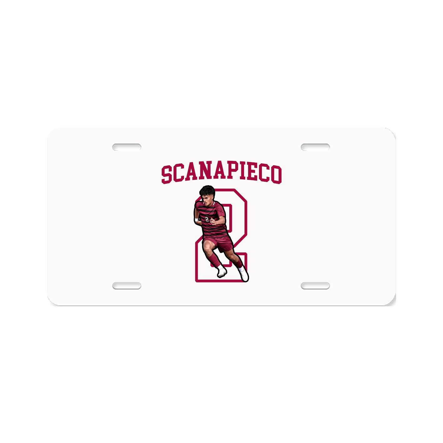 Aluminum License Plate