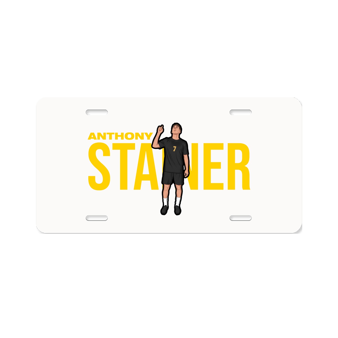 License Plate