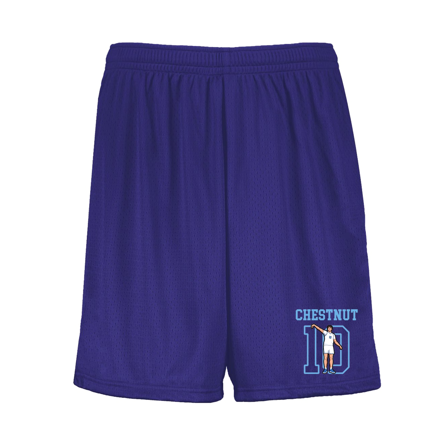 Shorts — Shirsey in Purple