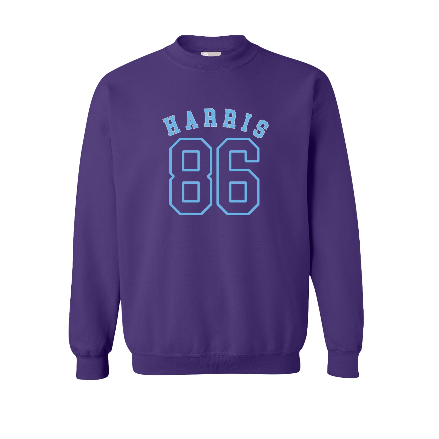 Fleece Crew — Shirsey Arch in Purple