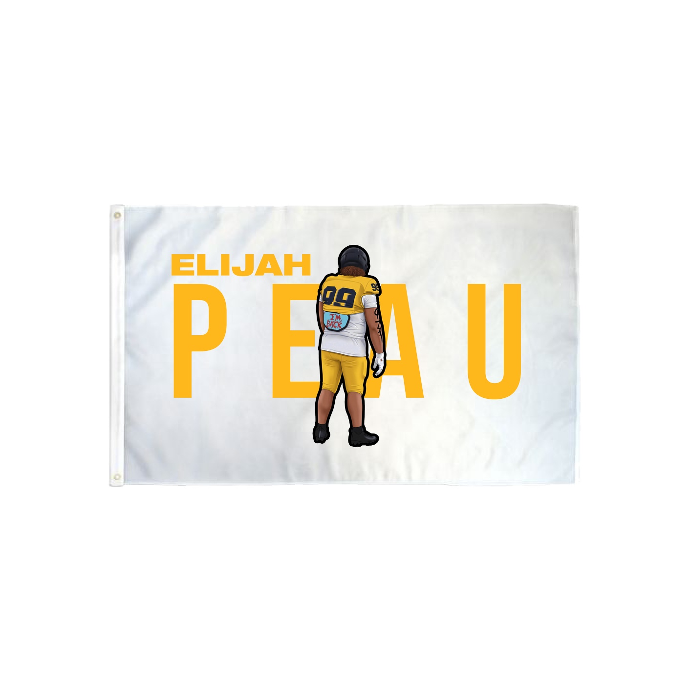 3x5 Flag