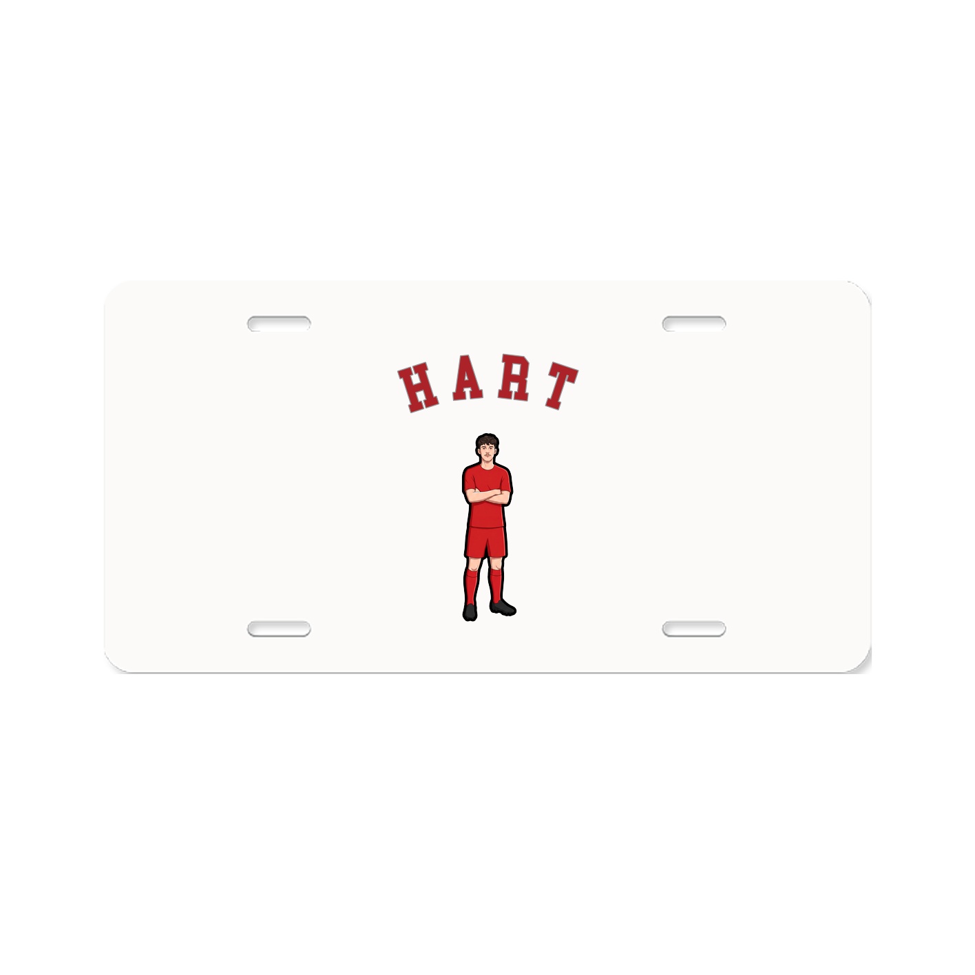 Aluminum License Plate