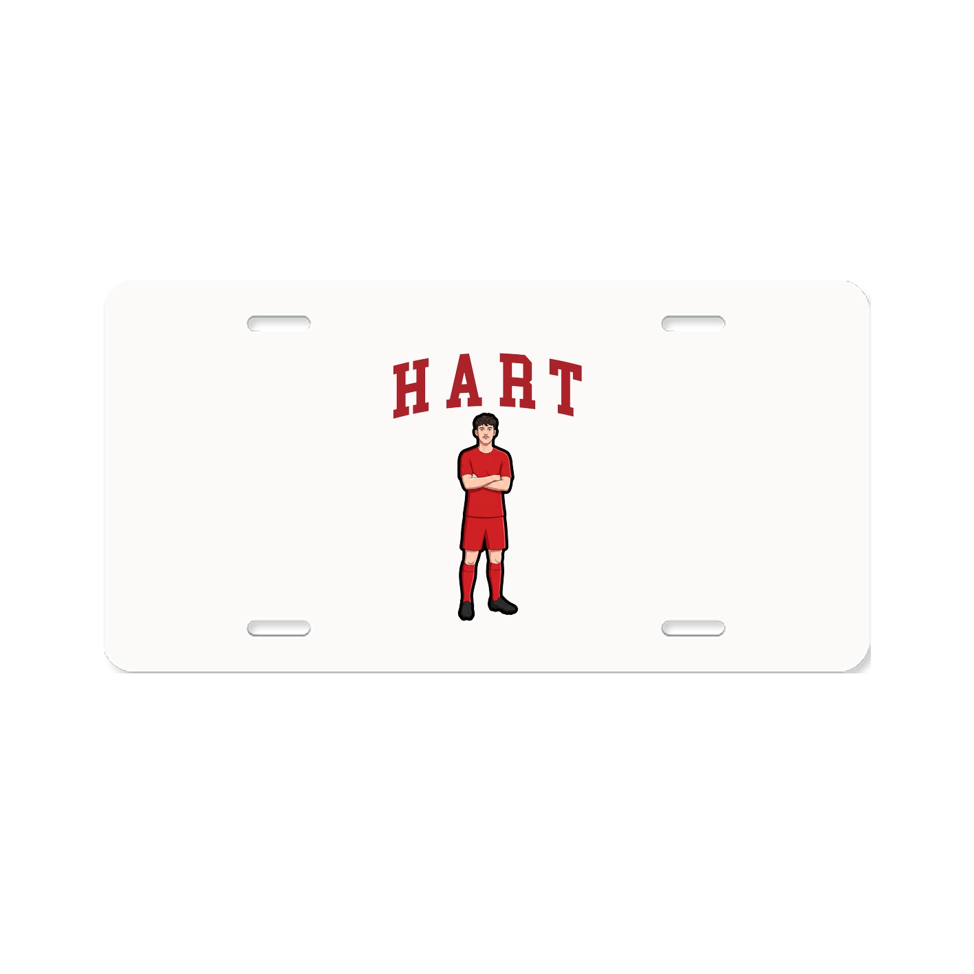 Aluminum License Plate