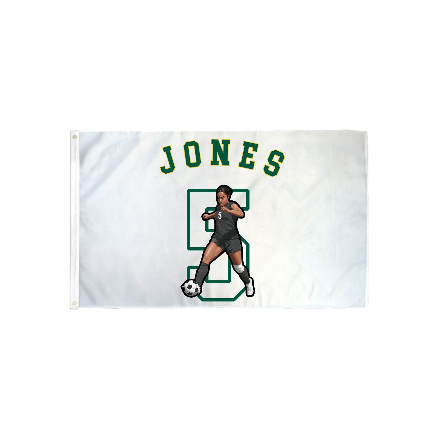 3x5 Flag — Shirsey Arch in Classic