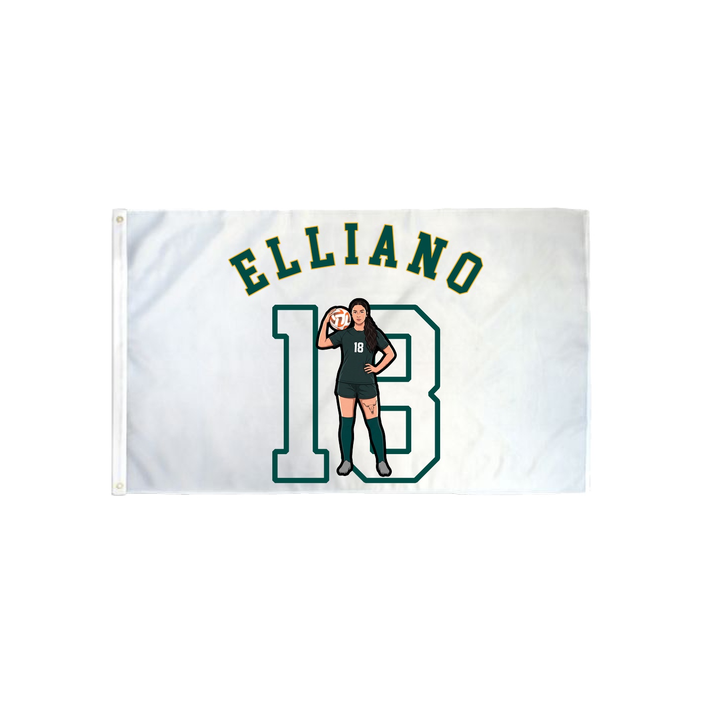 3x5 Flag — Shirsey Arch in Classic