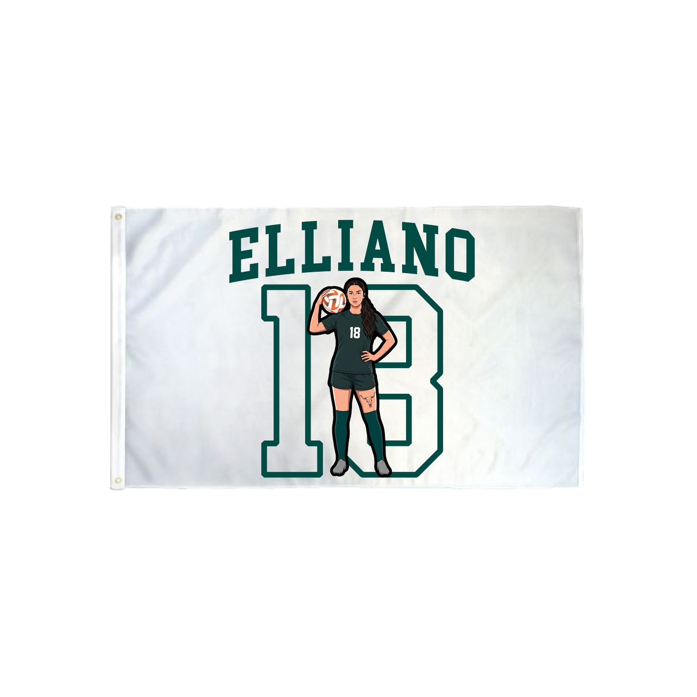 3x5 Flag — Shirsey in Classic