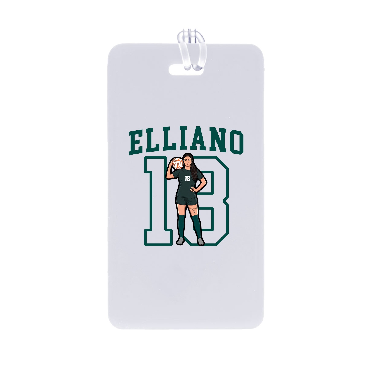 Identity Bag Tag