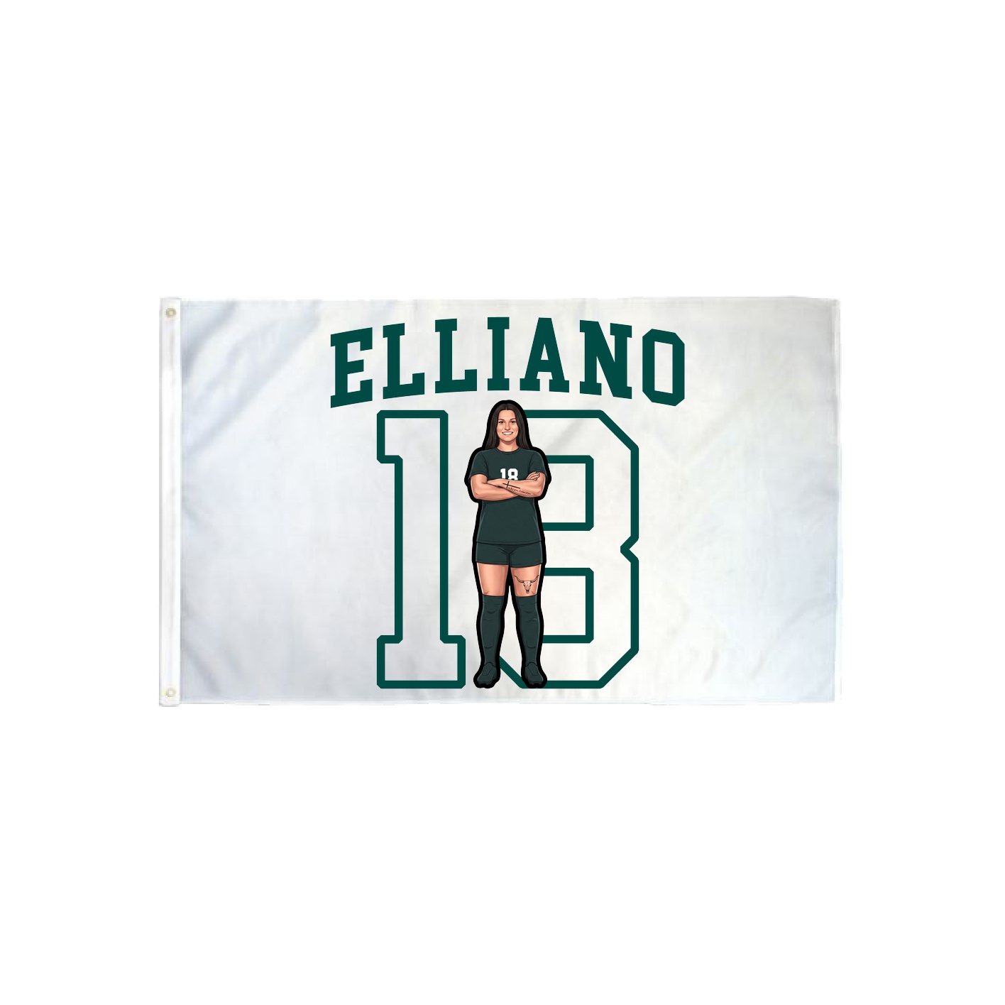 3x5 Flag — Shirsey in Classic