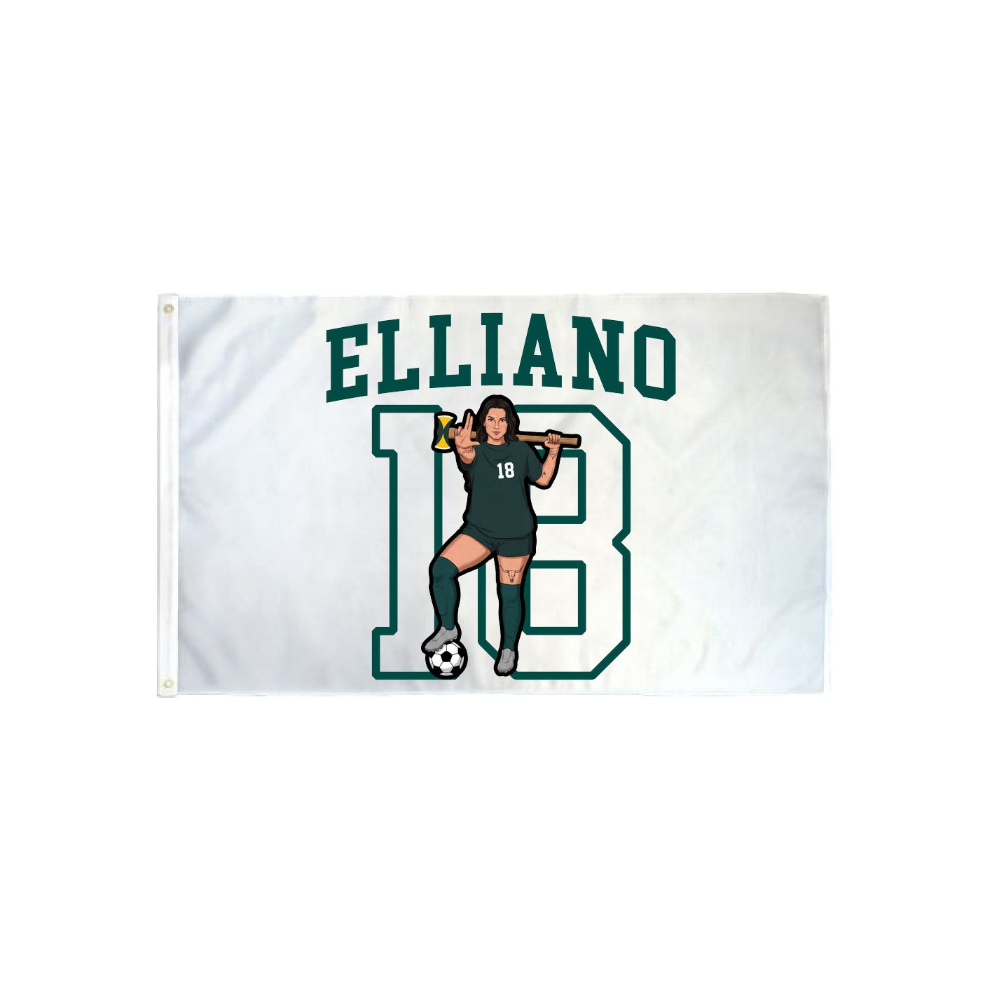 3x5 Flag — Shirsey in Classic