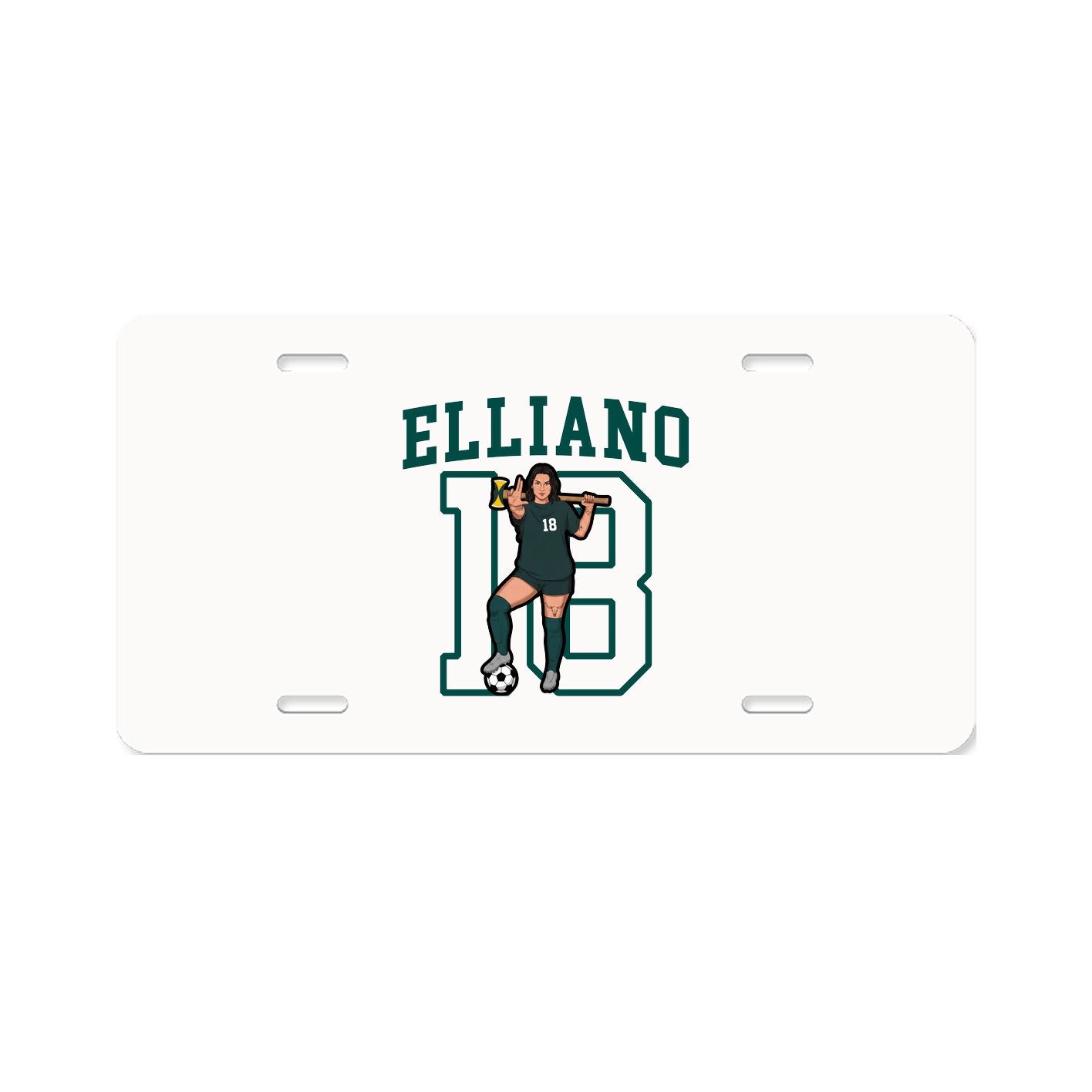 Aluminum License Plate